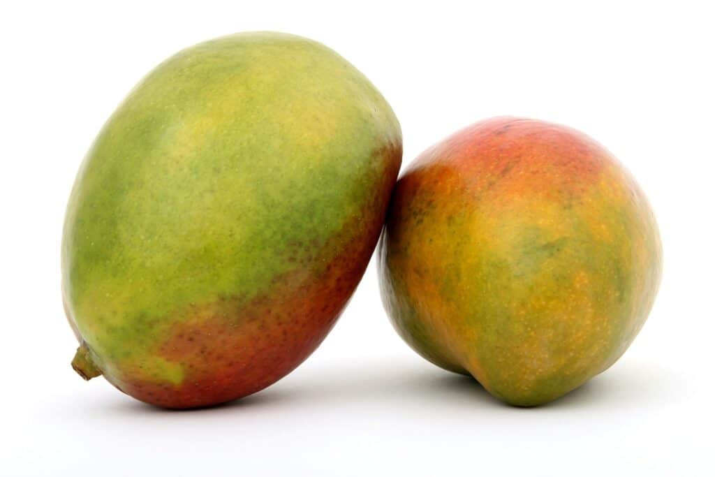 mango voor valkparkiet