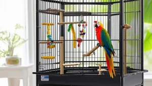 Papegaai in grote kooi met kleurrijke veren en speelgoed, bij raam met zonlicht.